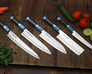 Collection image for: VG-10 Series with Turquoise Handles