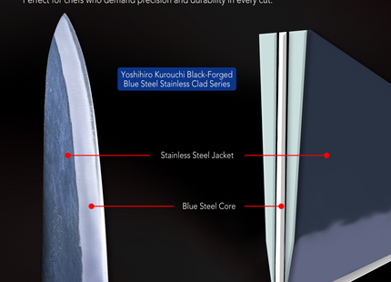 Yoshihiro Kurouchi Black-Forged Blue Steel Stainless Clad Gyuto Chefs Knife (Shitan Handle)