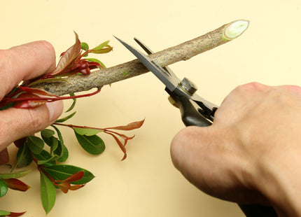 Professional Pruning Shears for Gardening, Garden Clippers, Hedge Shears, Plant Trimming Garden Tools