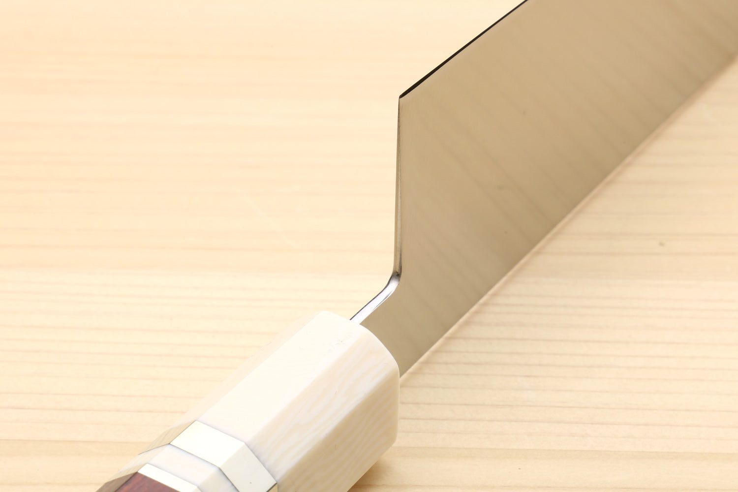 Kiritsuke chef knife spine detail with smooth white bolster and rosewood handle.