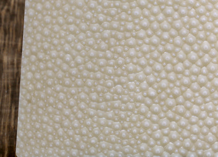 Chojiro Shark Skin Wasabi & Ginger Japanese Grater 1 pc