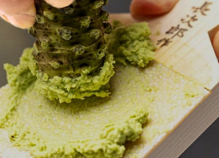 Chojiro Shark Skin Wasabi & Ginger Japanese Grater 1 pc