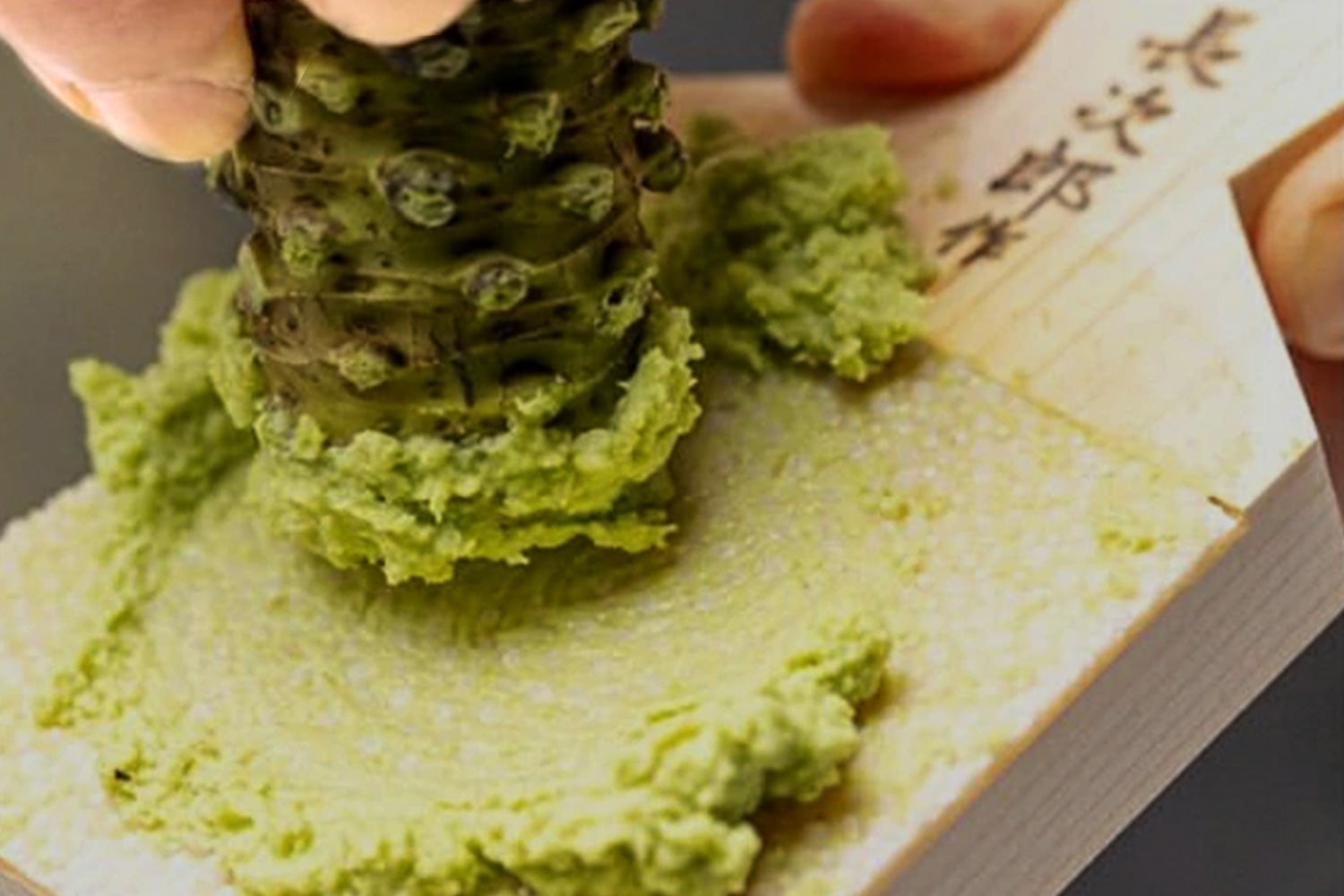 Chojiro Shark Skin Wasabi & Ginger Japanese Grater 1 pc