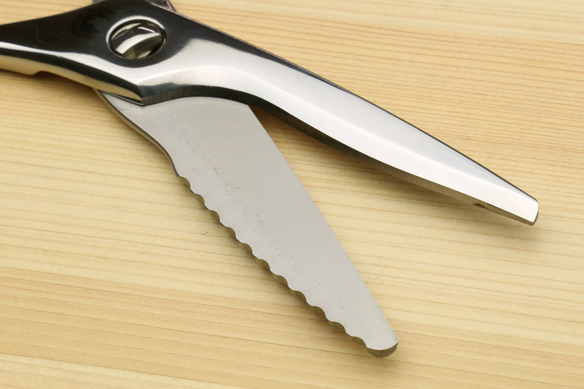 Stainless steel Japanese kitchen shears with serrated blade, loop handle.