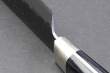 Yoshihiro Kurouchi Super Blue Steel Stainless Clad Kiritsuke Multipurpose Chef Knife