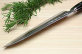 Yoshihiro Aoko Blue Steel Stainless Clad Gyuto Japanese Knife 8.25'' (210mm) Black Pakkawood Handle