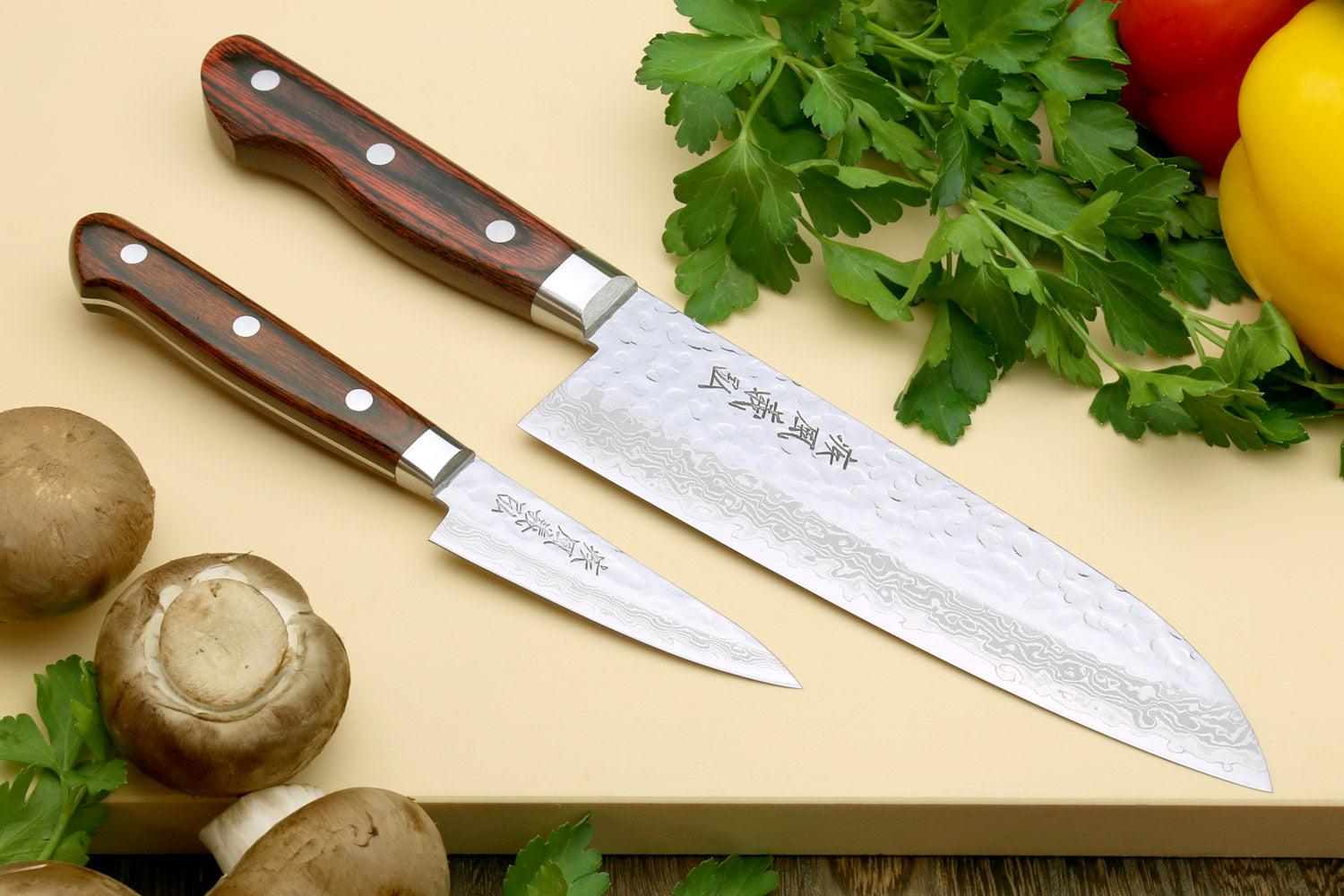 Handmade Japanese Knife Set of 3 Knives - AUS10 Steel Chef Knife, Santoku &  Nakiri