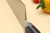 Yoshihiro Inox Stain-resistant Steel Ice Hardened Double-Edged Deba Fillet Knife