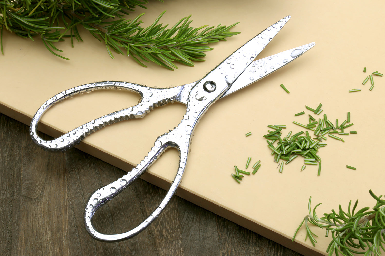 10 inch Poultry Shears - Commercial Grade - Stainless Steel - Perfect for