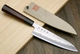Yoshihiro Hammered Super Blue Steel Stainless Clad Gyuto Multipurpose Japanese Chef Knife