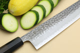 Yoshihiro Hammered Super Blue Steel Stainless Clad Kiritsuke Multipurpose Japanese Chef Knife