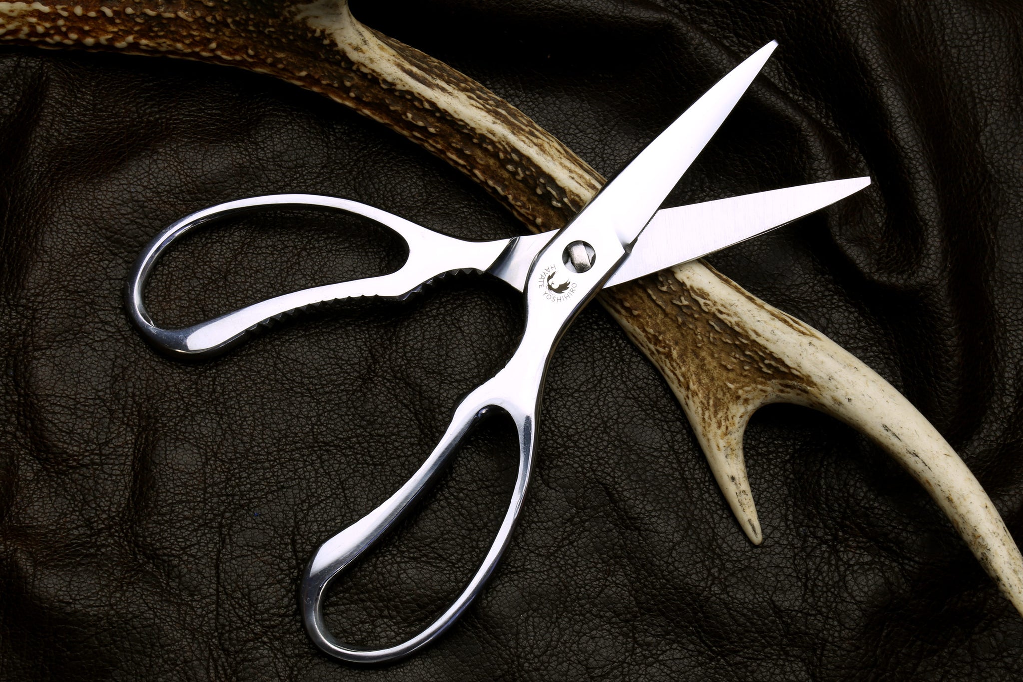 Hayashi Stainless Steel Kitchen Scissors - Globalkitchen Japan