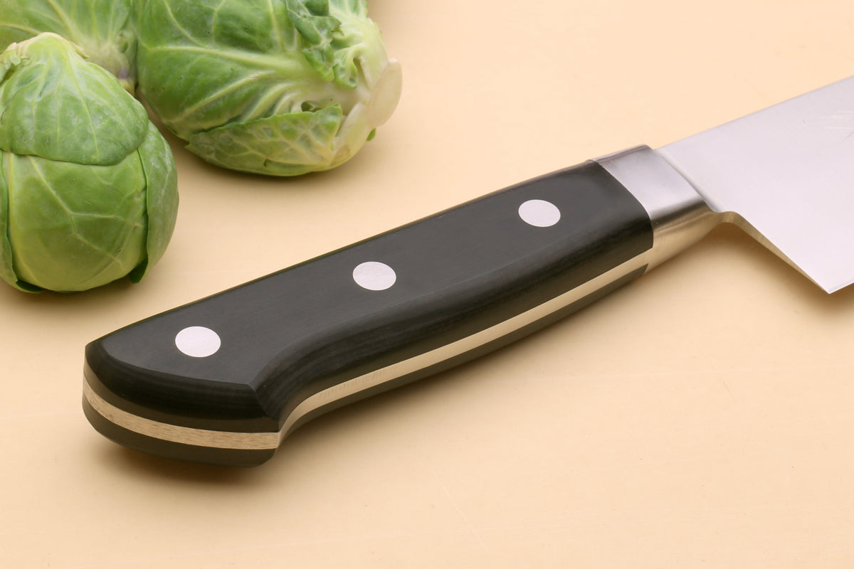 Double-edged deba fillet knife handle with dark scales and metal rivets, side view